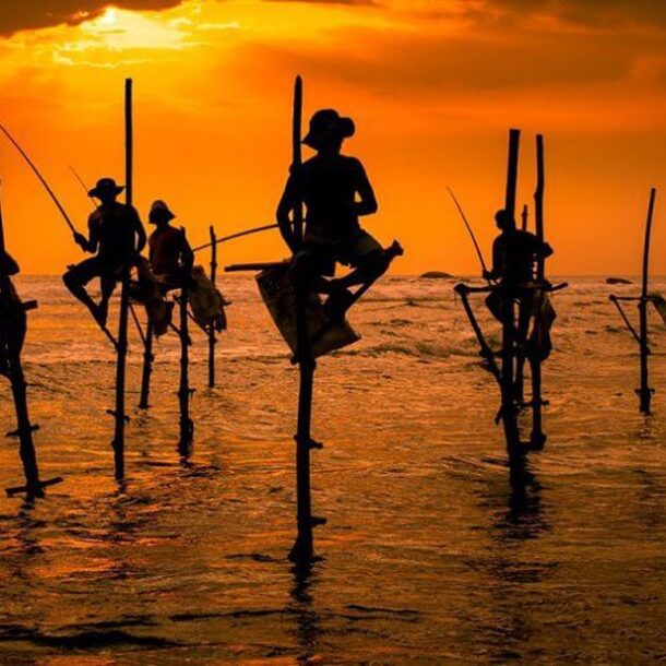 A Guide to Koggala Stilt Fishing: Capturing a Sri Lankan Tradition