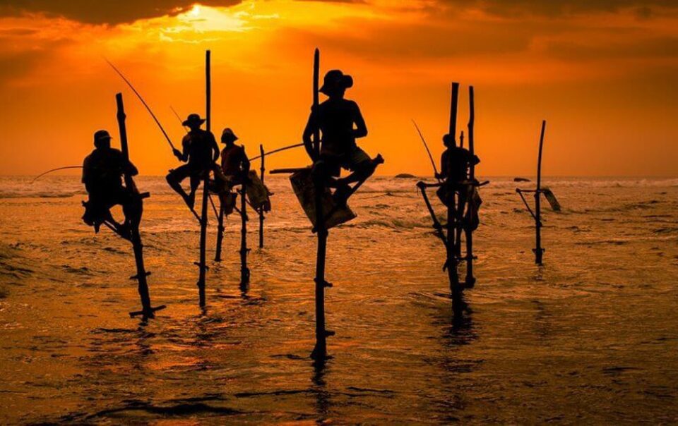 A Guide to Koggala Stilt Fishing: Capturing a Sri Lankan Tradition