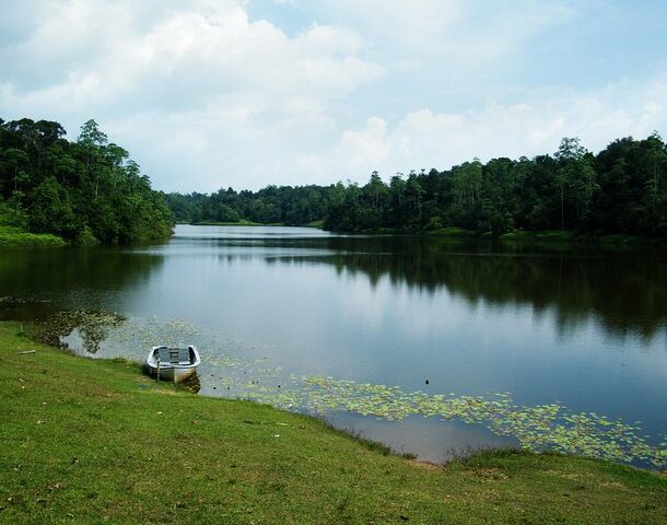 Explore Hiyare: A Guide to the Galle Reservoir and Rainforest