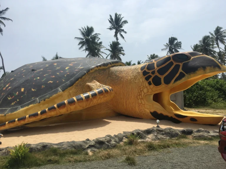 Sea Turtle Hatchery Centre, Sri Lanka: A Guide to Conservation and Care